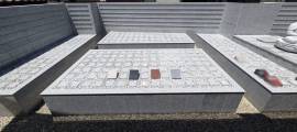image-slider-with-thumbnail6.jpeg